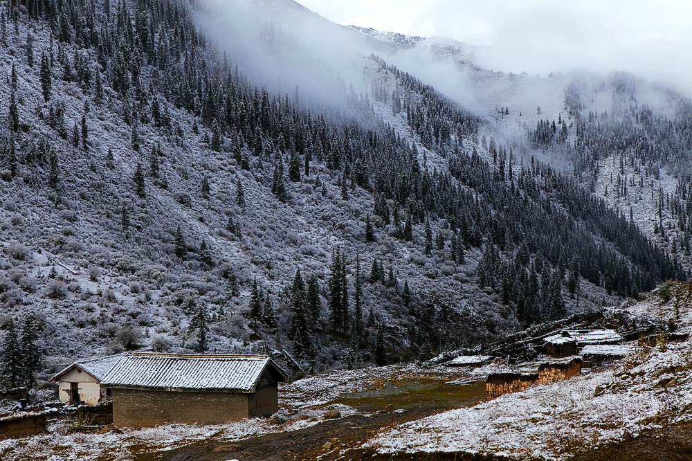 驢行川藏第一險(xiǎn)——翻越冰雪覆蓋的雀兒山(組照)