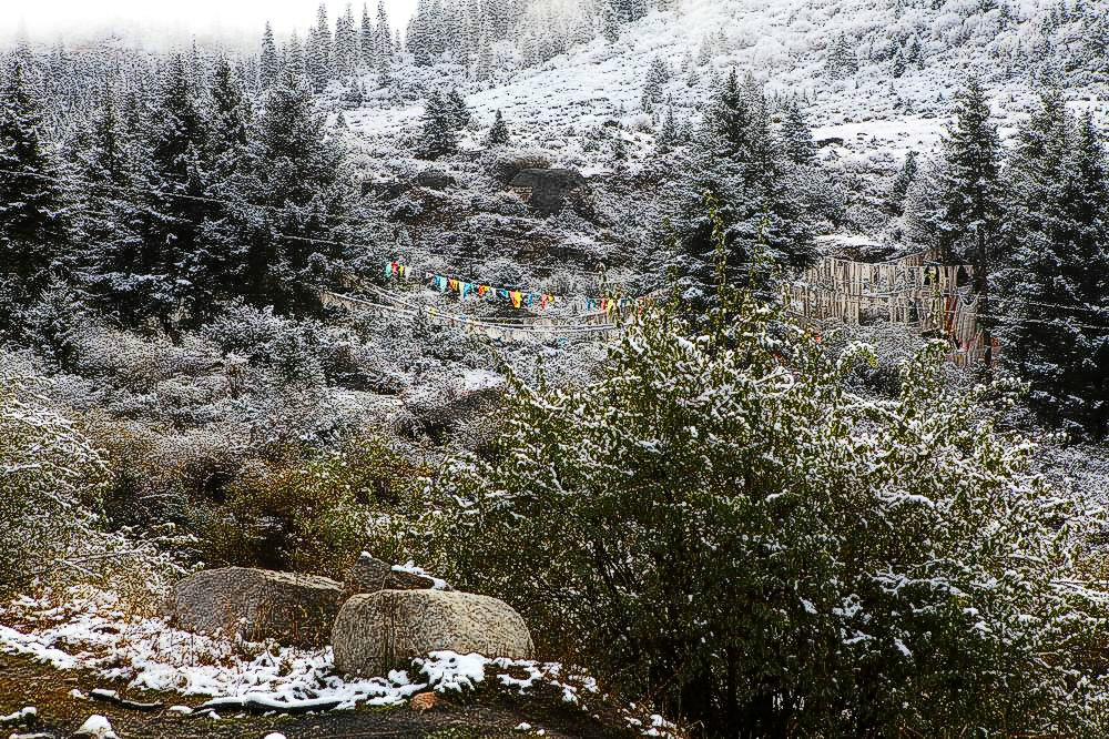 驢行川藏第一險(xiǎn)——翻越冰雪覆蓋的雀兒山(組照)