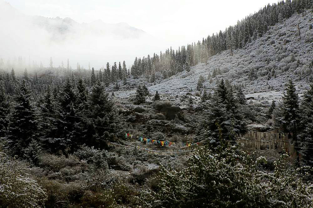 驢行川藏第一險(xiǎn)——翻越冰雪覆蓋的雀兒山(組照)