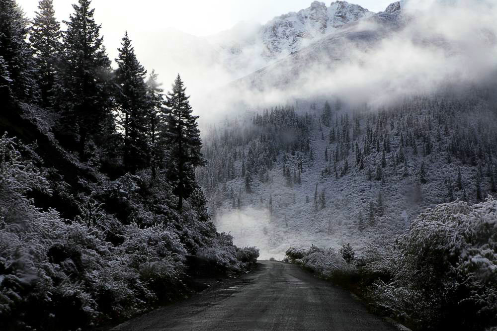 驢行川藏第一險(xiǎn)——翻越冰雪覆蓋的雀兒山(組照)