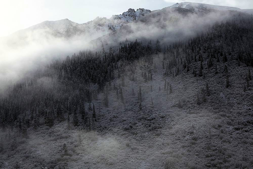 驢行川藏第一險(xiǎn)——翻越冰雪覆蓋的雀兒山(組照)