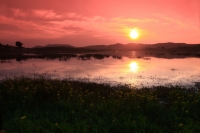 壩上之野鴨湖夕陽