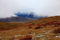 不能忘懷的眷戀——走過高原