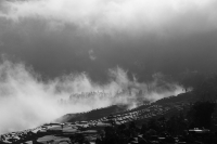 墨寫(xiě)元陽(yáng)