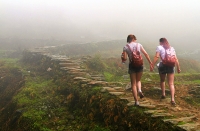 小路：通向迷霧的遠(yuǎn)方