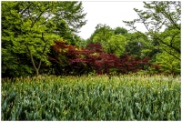 杭州西湖掠影（一）