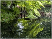 杭州西湖掠影（二）