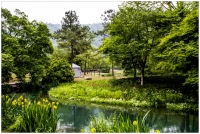 杭州西湖掠影（三）