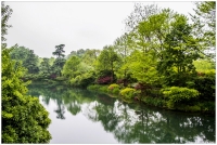 杭州西湖掠影（四）