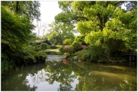 杭州植物園掠影（三）