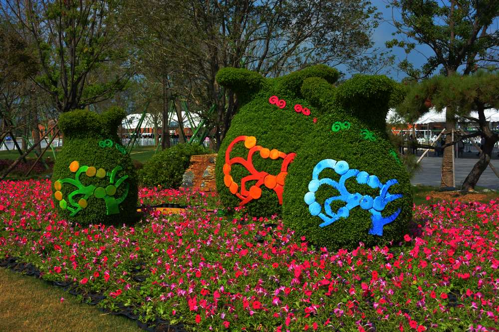 花博會(huì)掠影