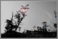 太陽照在小山坡上