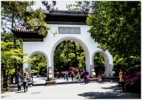 杭州靈癮寺隨拍