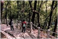 杭州北高峰上隨拍