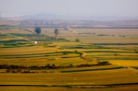 金秋——大地的歡歌