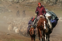 轉場路上的哈薩克