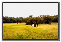 風光小品（四）