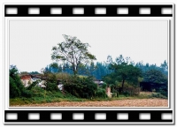 風光小品（六）