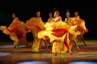 幸逢盛世舞翩躚---淮南市群眾舞蹈大賽