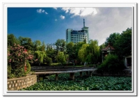 風光小品（九）