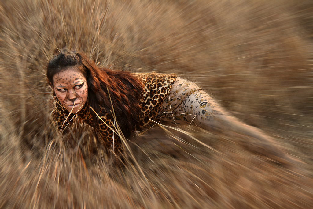 “放歸的豹子”創意人像