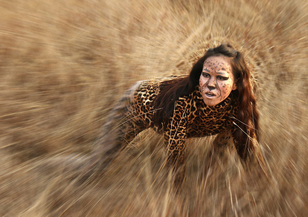“放歸的豹子”創意人像