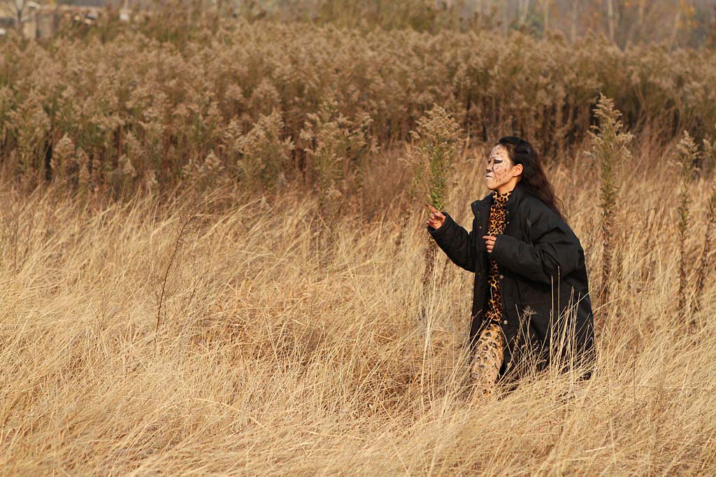 “放歸的豹子”創意人像