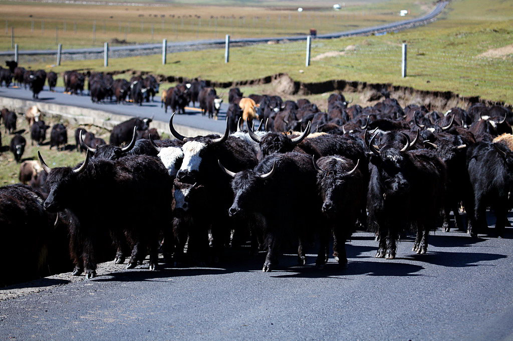 在那遙遠的地方……