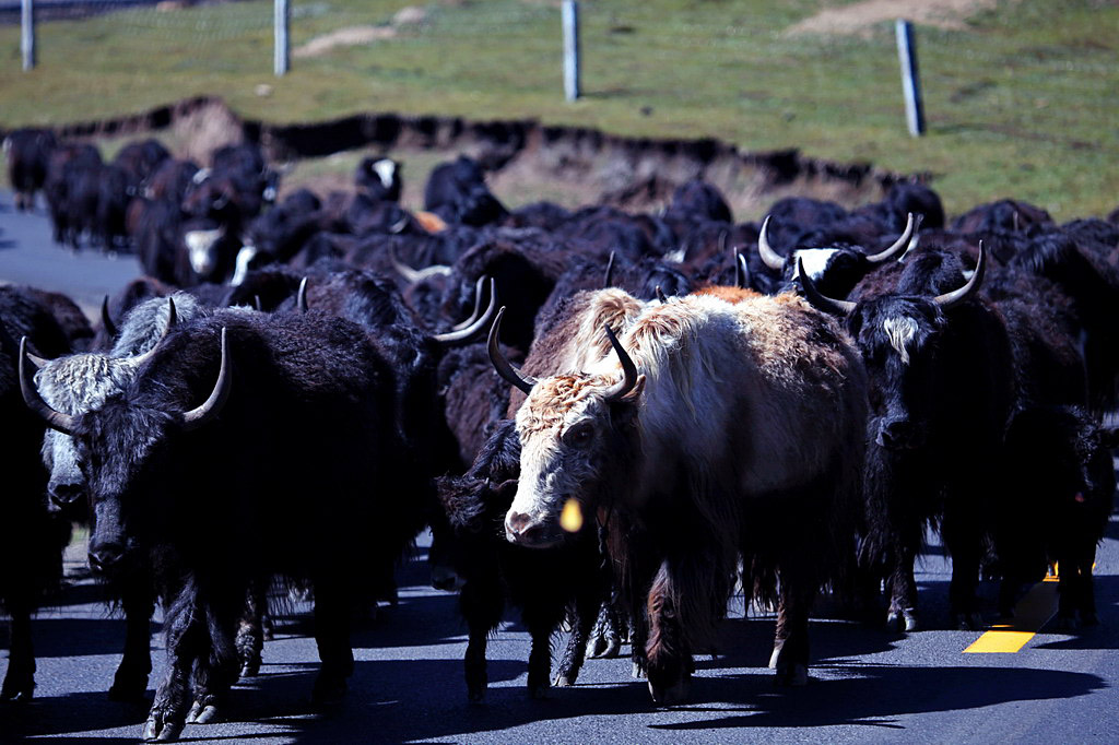 在那遙遠的地方……