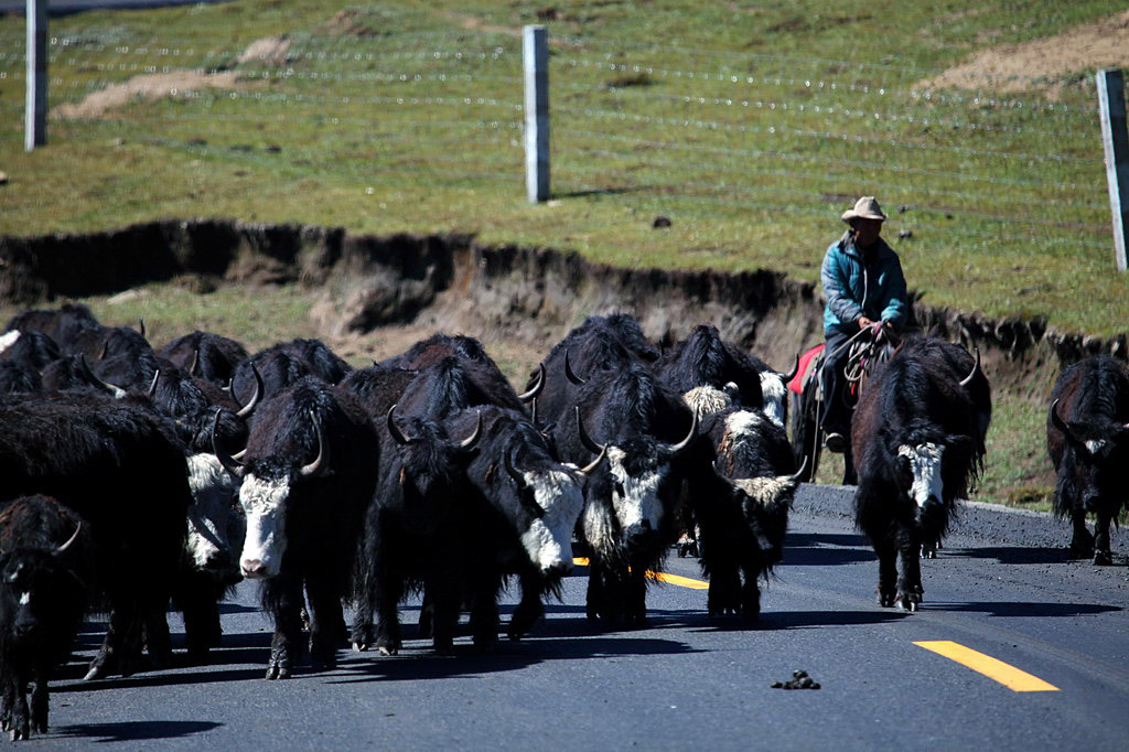 在那遙遠的地方……