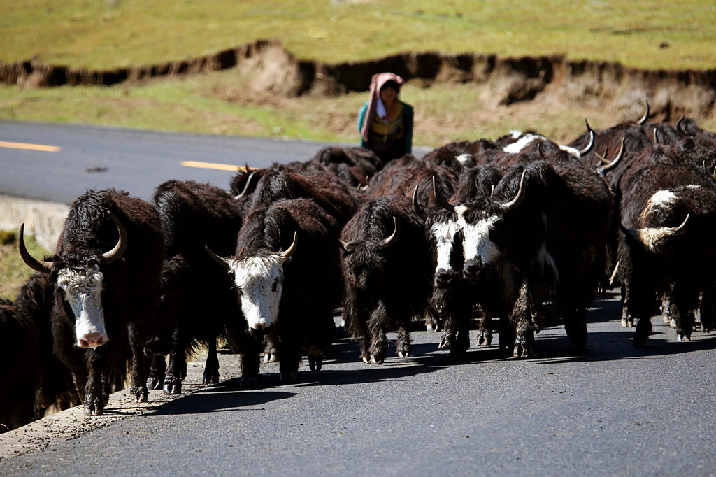 在那遙遠的地方……