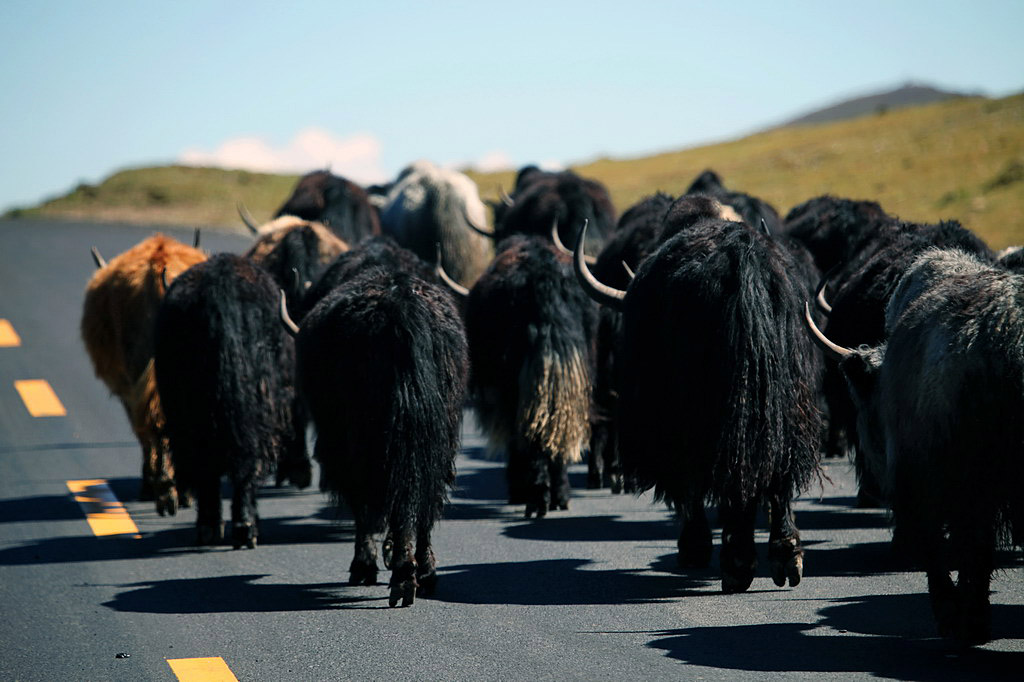 在那遙遠的地方……