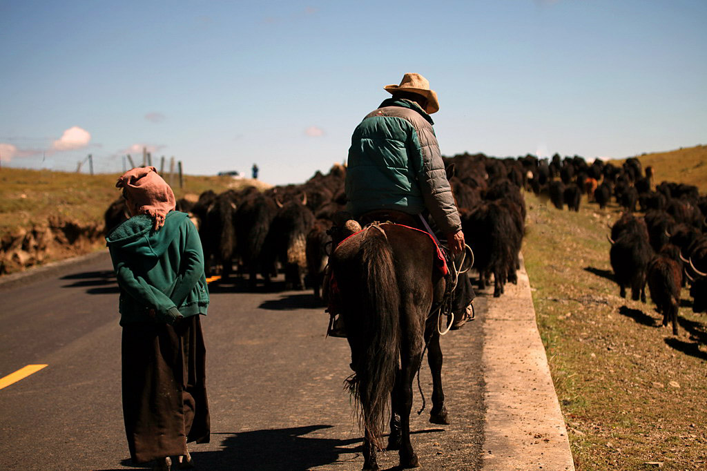 在那遙遠的地方……