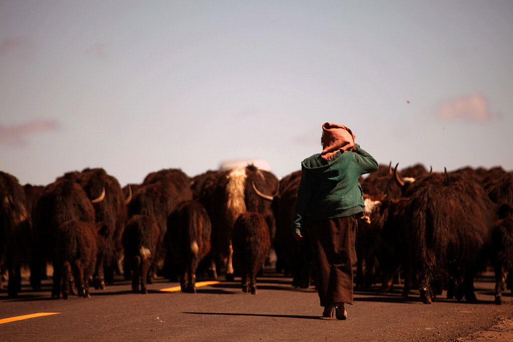 在那遙遠的地方……