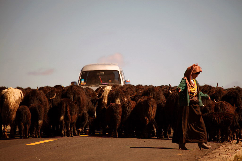在那遙遠的地方……