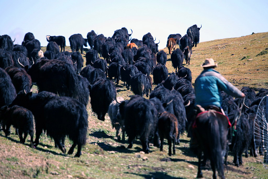 在那遙遠的地方……