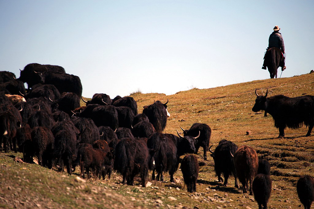 在那遙遠的地方……