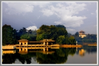 冬日暖陽下的龍湖公園