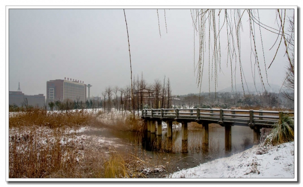 龍泉瑞雪（一）