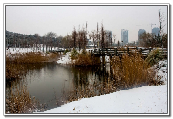 龍泉瑞雪（二）