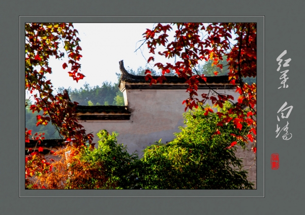紅葉 白墻
