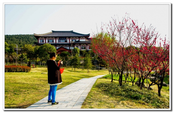 龍泉春早（一）