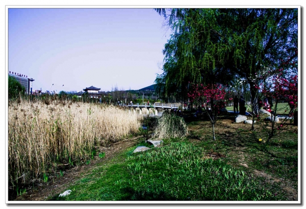 龍泉春早（二）