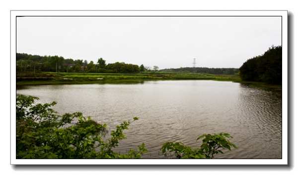 田園風光（一）