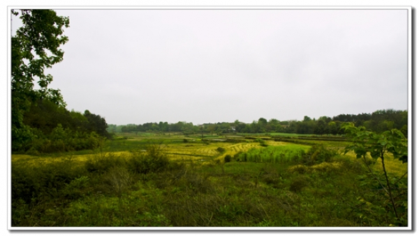 田園風(fēng)光（二）