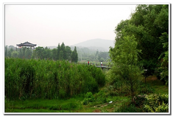 龍泉隨拍（一）