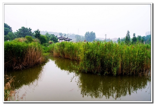 龍泉隨拍（二）