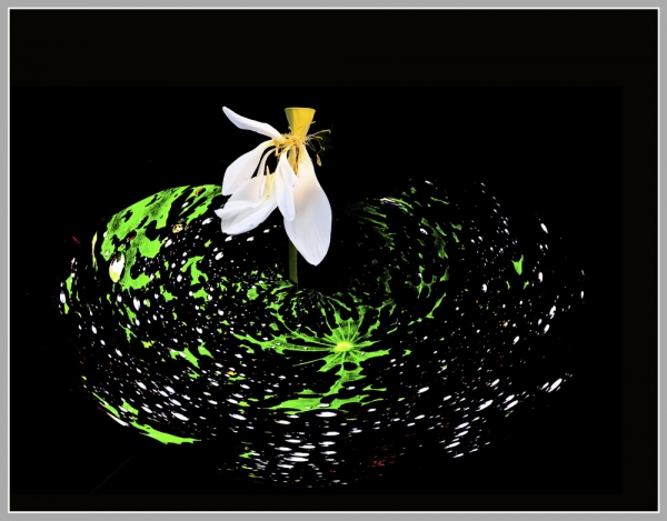 翠盤銀珠托玉花