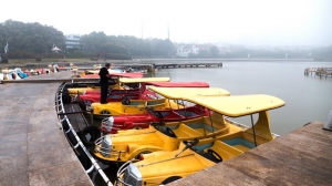 器·型·色·點(diǎn)·線·面