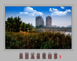 美麗龍泉我的家